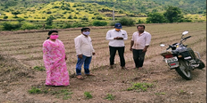 A Village Revenue Officer helps farmers to report data on the E-Peek Pahani app