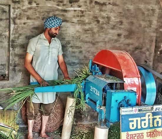Hardeep Singh Brar at work on his farm